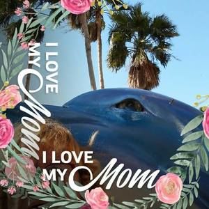 Meet your Posher, Gale